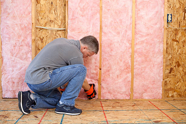 Types of Insulation We Offer in Rock Hall, MD